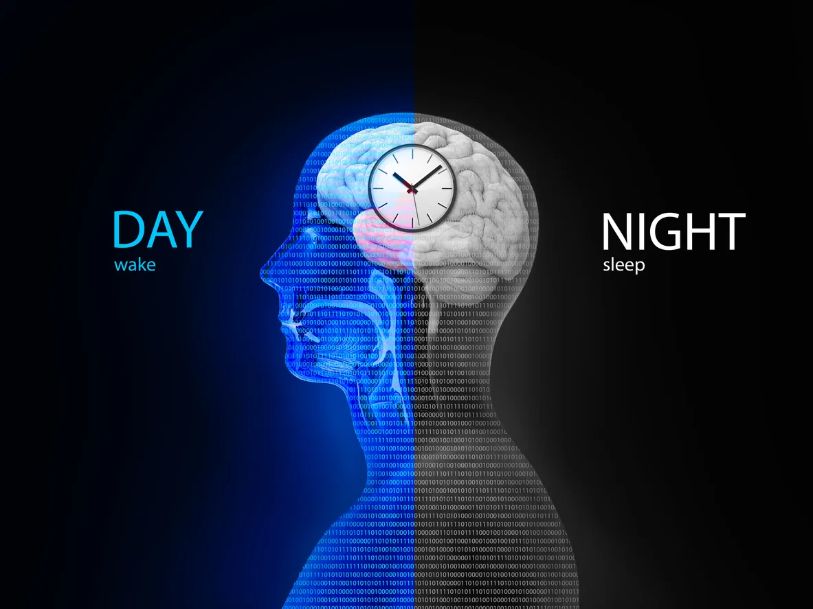 Red Light Therapy for Optimal Circadian Rhythms