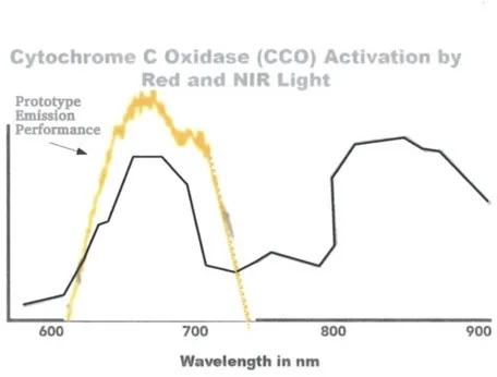Cytochrome c oxidase activation by red and near-infrared light