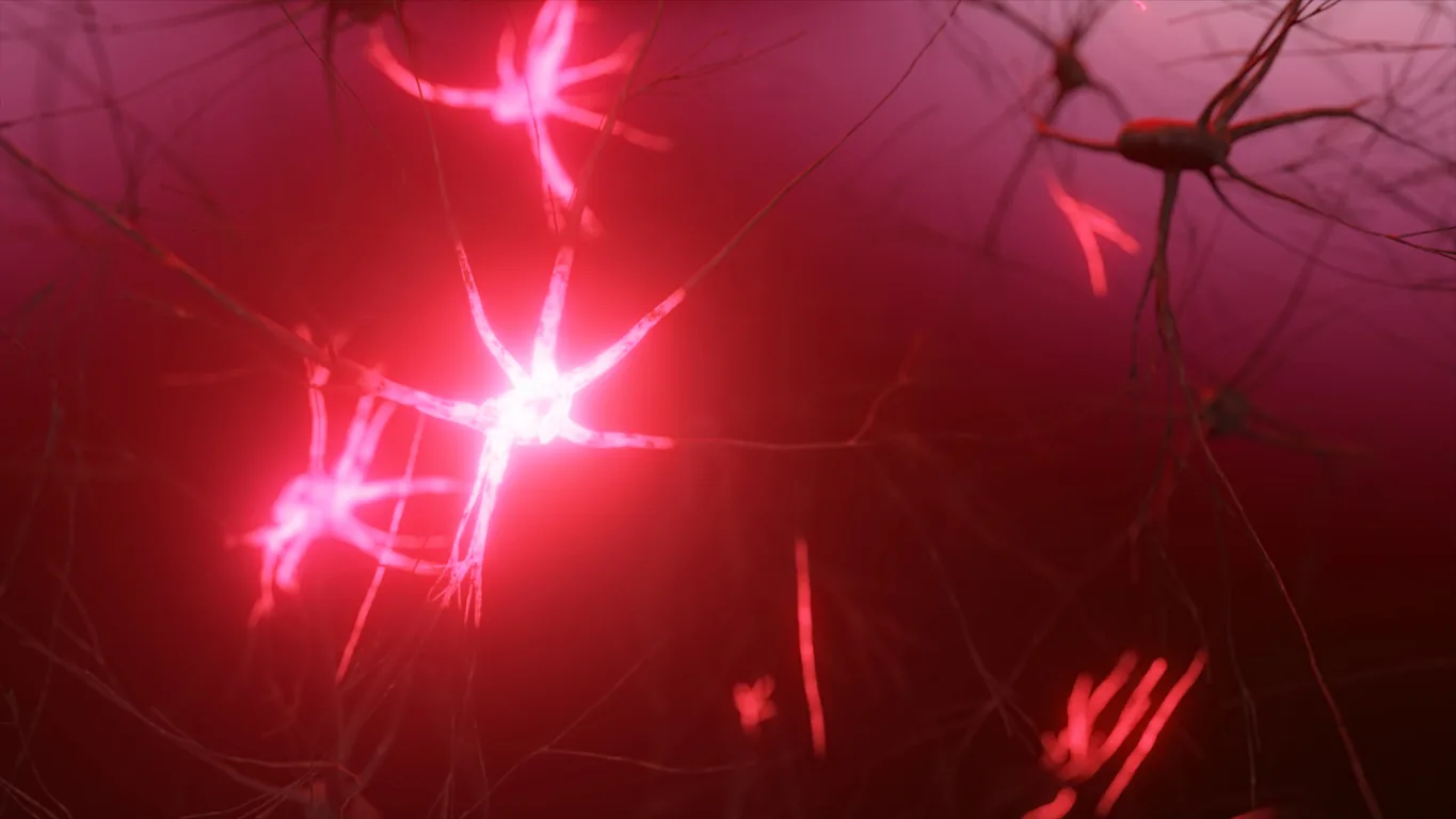 Understanding the Impact of Light on the Body's Nervous System